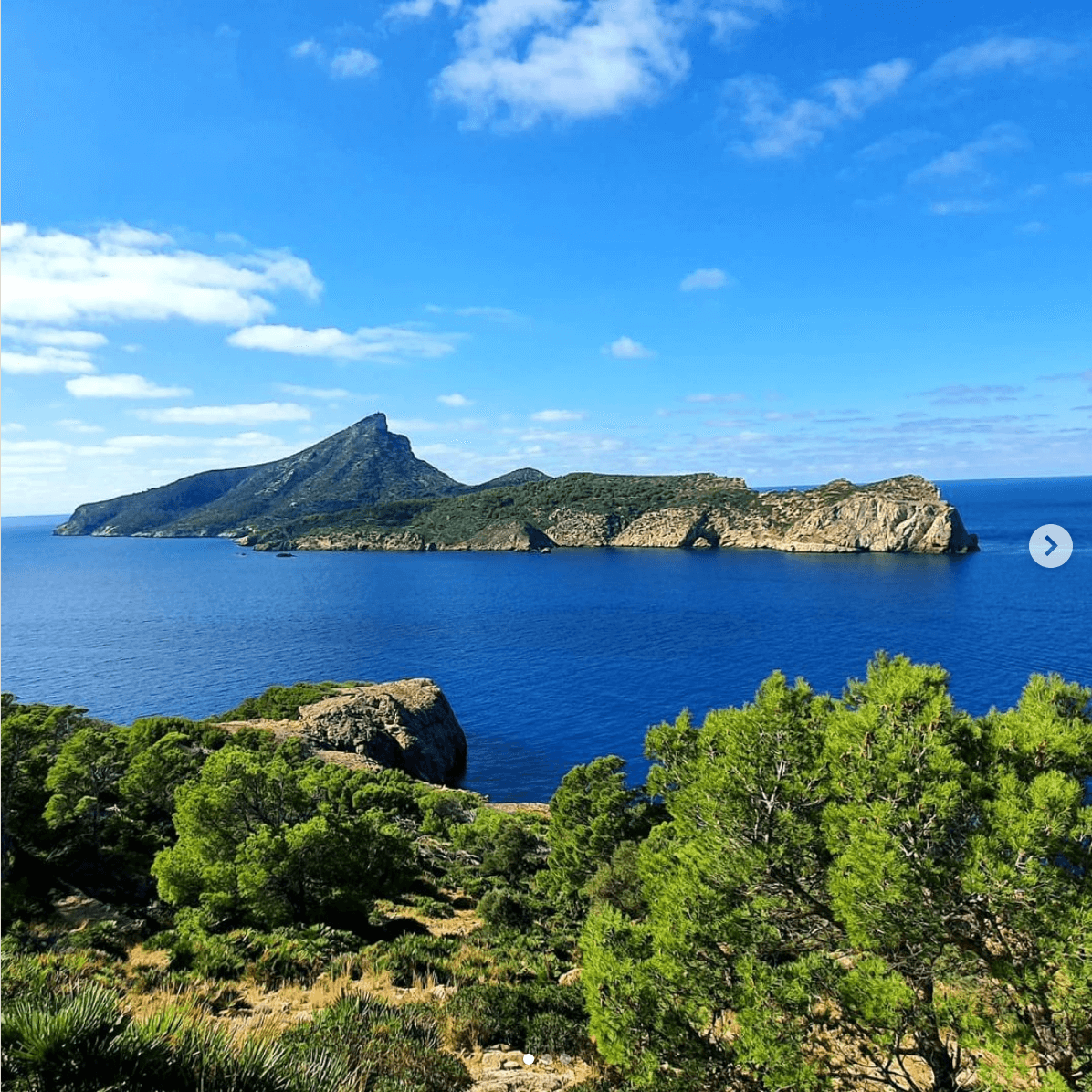 Miquel's Olive Oil Membership